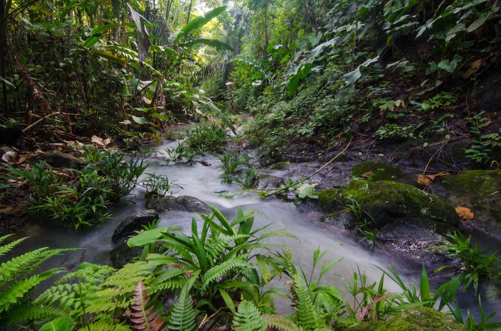 Camarones River