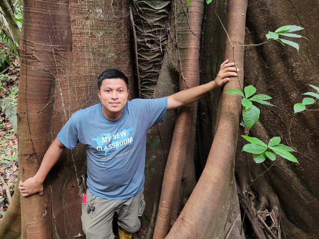 Stream flowing through lush tropical rainforest, Kubah National