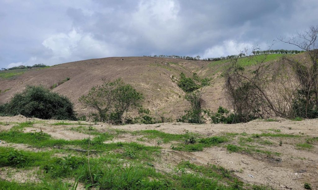 Badly denuded hillside.