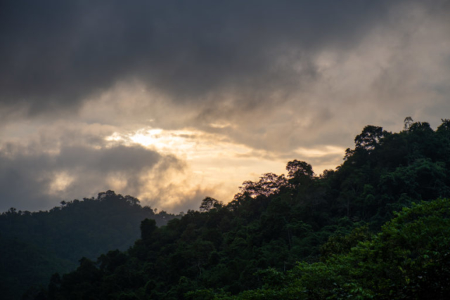 Jama-Coaque Reserve