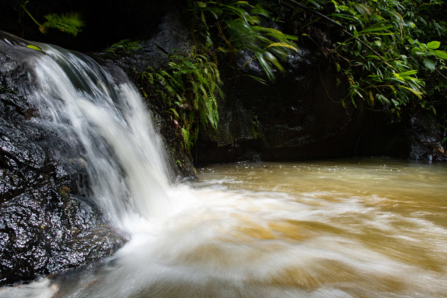 Jama-Coaque Reserve