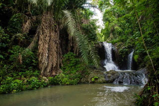 Jama-Coaque Reserve