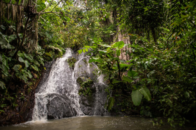 Waterfall