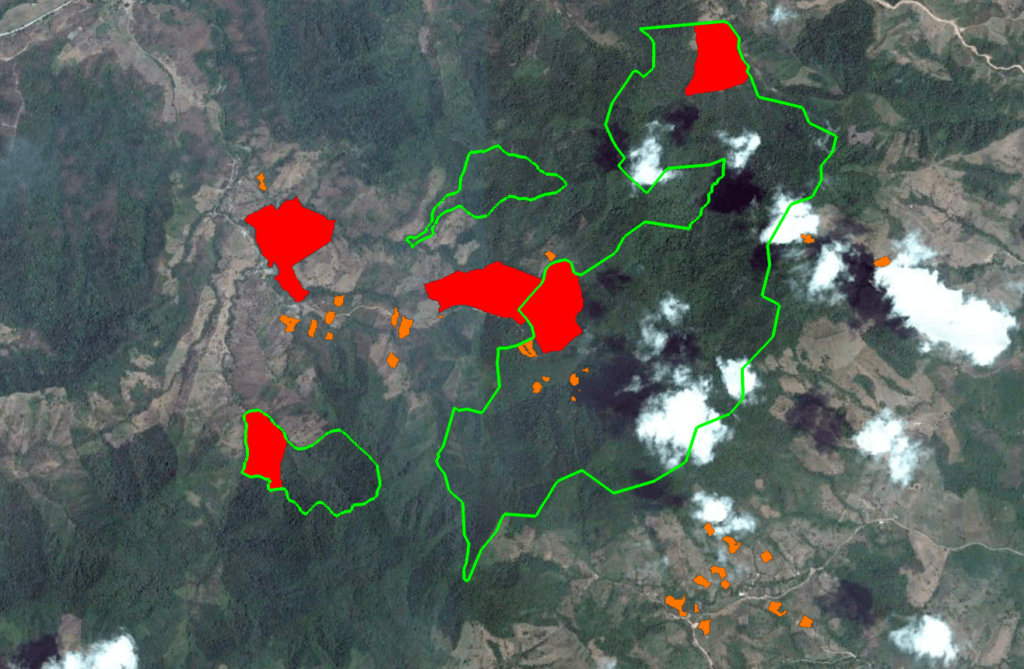 reforestation map