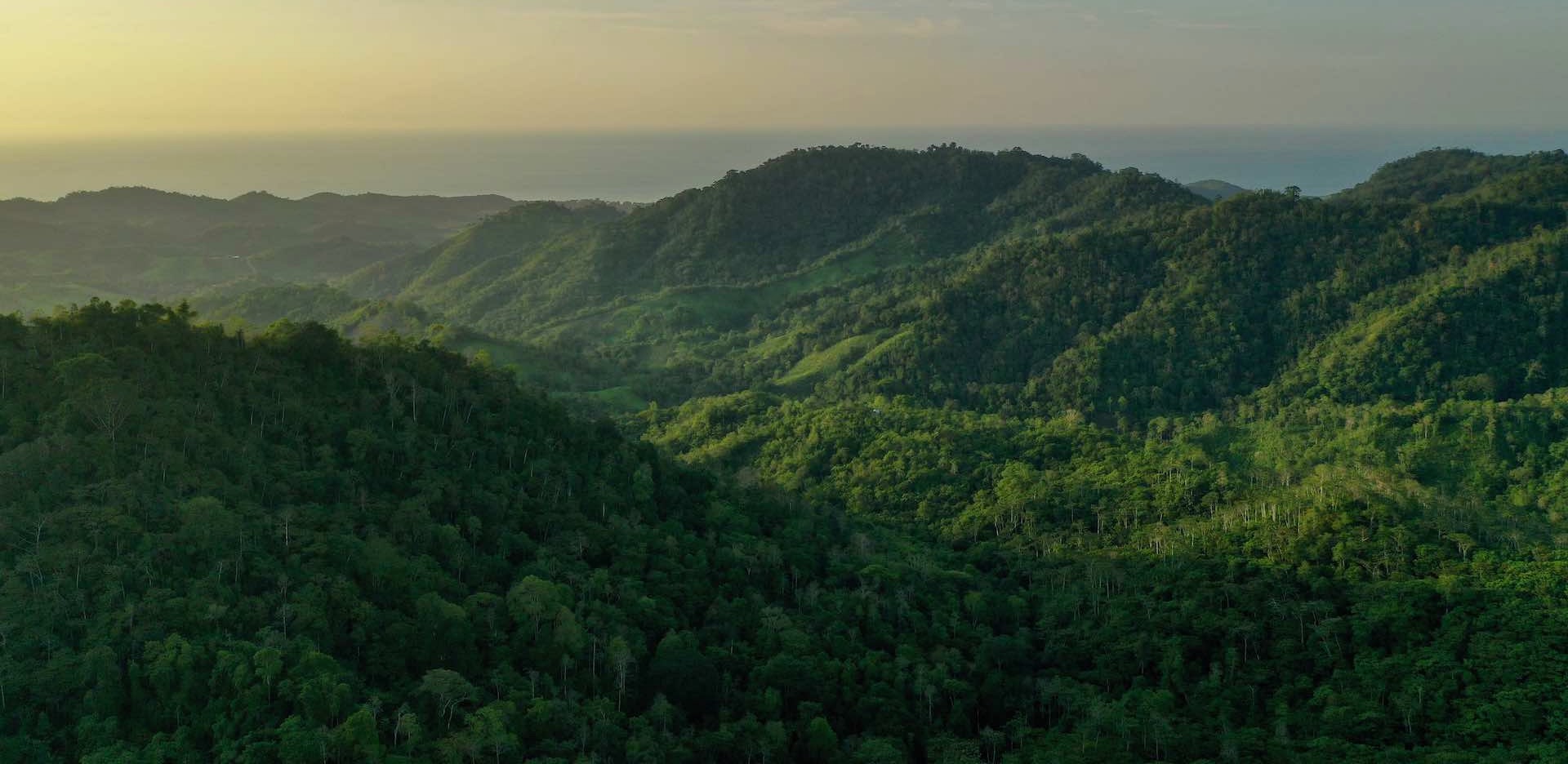 Community Forests Program (Bosques Comunitarios)